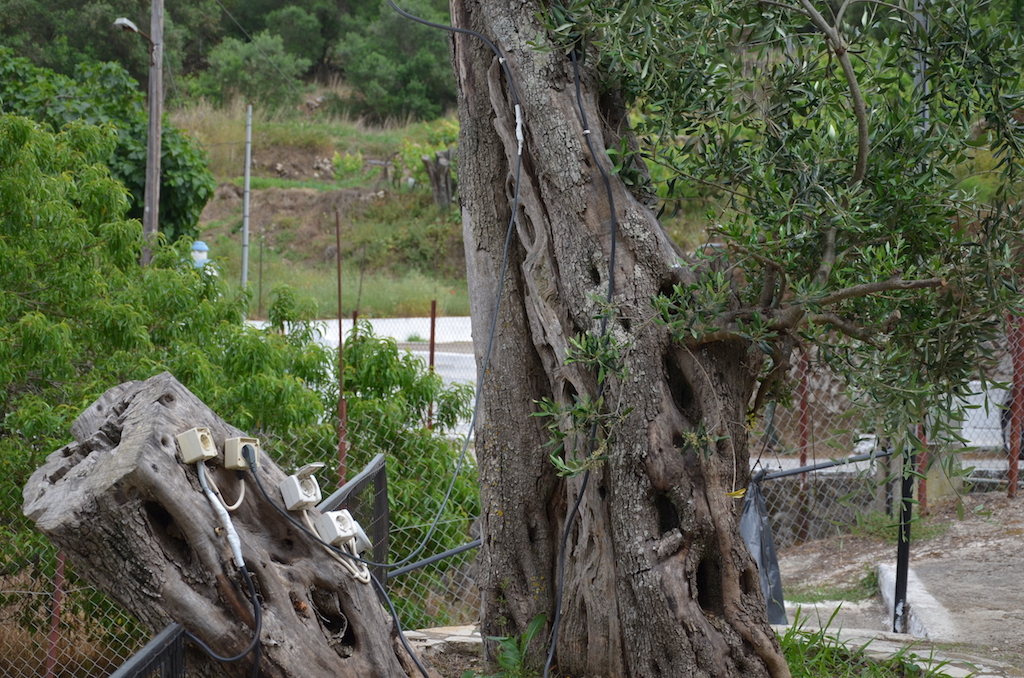 2018 Korfu Steckdosen